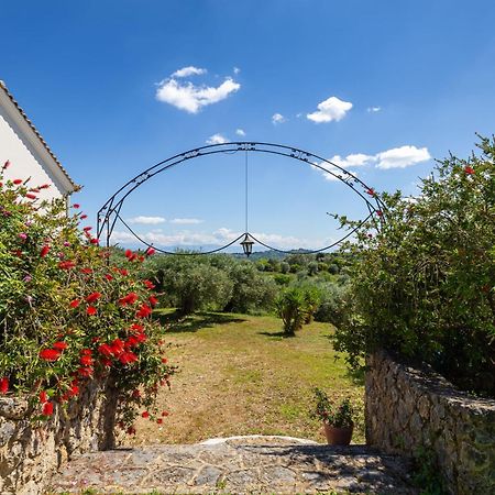 Villa Anta Ágios Ioánnis Esterno foto
